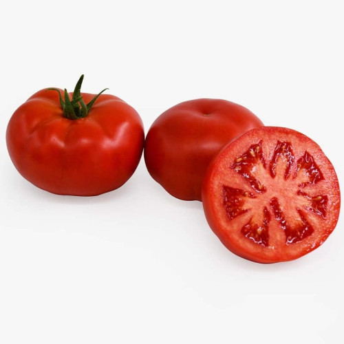 PANDA F1 Tomate